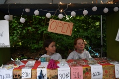 Solo Open 2025